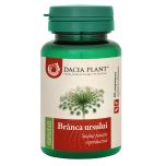 Branca Ursului comprimate