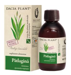 Patlagina sirop, extract concentrat, fara zahar