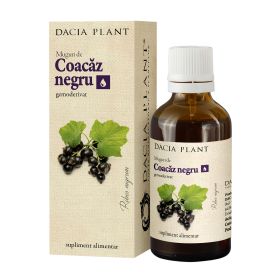 Coacaz Negru Gemoderivat