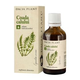 Coada Calului tinctura