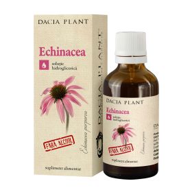 Echinacea tinctura fara alcool