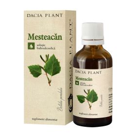 Mesteacan tinctura